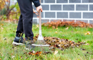Ancinho é realmente necessário para organizar o jardim?