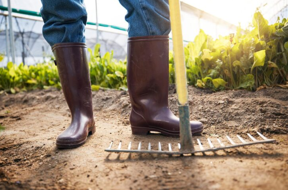 Rastelo para jardim: Como ele ajuda na manutenção do solo?